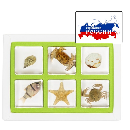 98285039_23 апреля 2024 г.