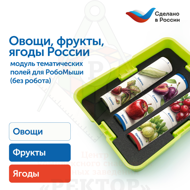 MS0102_2_Модуль__Овощи__фрукты__ягоды_России_