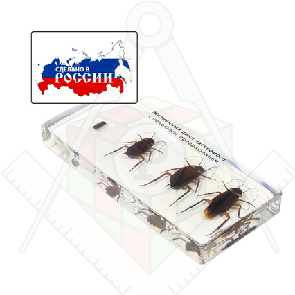 98285696_23 апреля 2024 г.