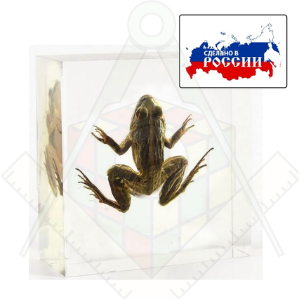 98285022_23 апреля 2024 г.