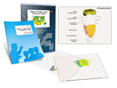 Картинка_2023-04-13_Комплект кодотранспарантов (прозрачных плёнок, фолий) «Корень. Стебель. Лист (Внутреннее строение)»