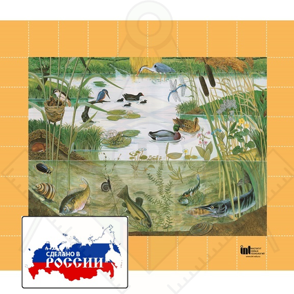 98285058_23 апреля 2024 г.