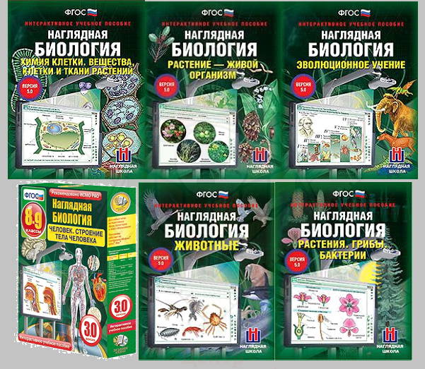 Безымянный