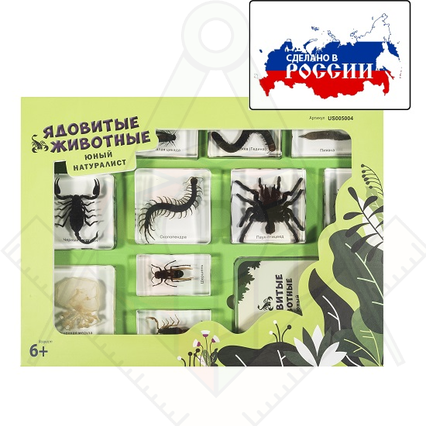 98285028_23 апреля 2024 г.