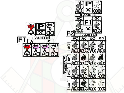 5942