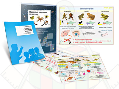 Картинка_2023-04-13_Комплект кодотранспарантов (прозрачных плёнок, фолий)«Ядовитые и жалящие животные»