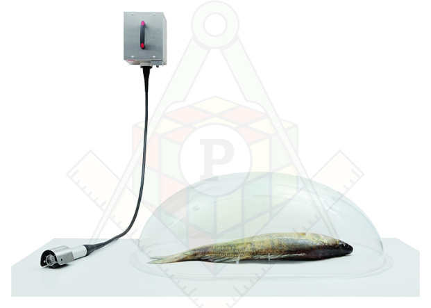 Колпак для рыбочистки КТ