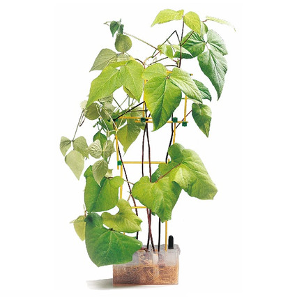 98285090_23 апреля 2024 г.