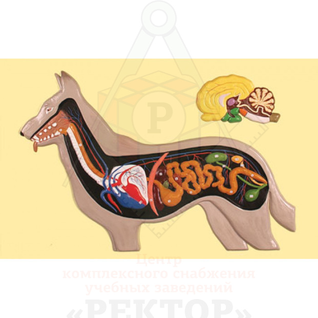 ge-catalog-modelibarelefnyeb-10572-700x700