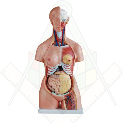 98285678_23 апреля 2024 г.