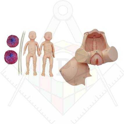 98285796_23 апреля 2024 г.