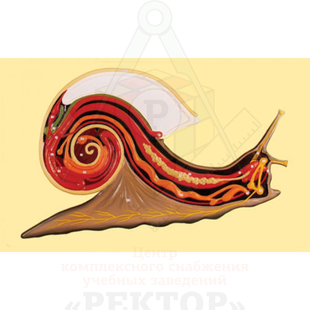 ge-catalog-modelibarelefnyeb-10583-700x700