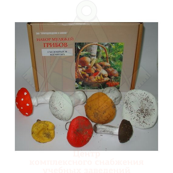 nabor_mulyazhej_gribov_sedobnyh_i_yadovityh