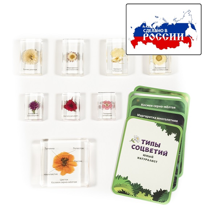 98285030_23 апреля 2024 г.