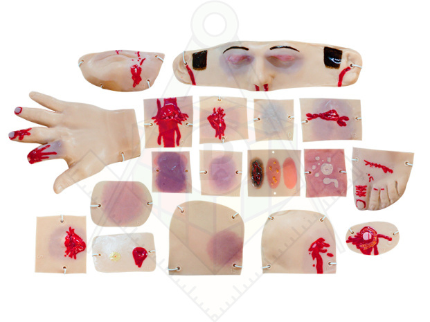 имитатор ран1