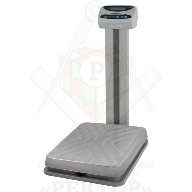 Картинка_2023-03-19_Весы напольные CAS DL-60