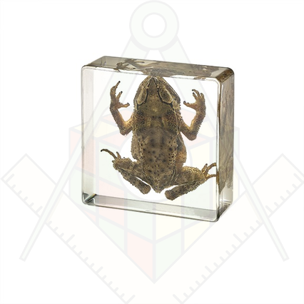 98285670_23 апреля 2024 г.