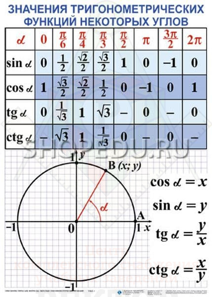 98291118 2