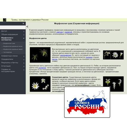 98285699_23 апреля 2024 г.