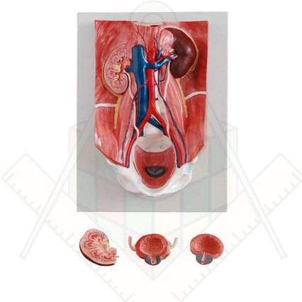 98285657_23 апреля 2024 г.