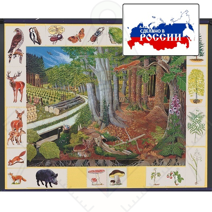 98285061_23 апреля 2024 г.