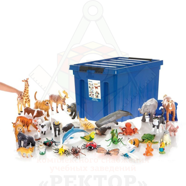 WhatsApp_Image_2020-07-17_at_13.16.29