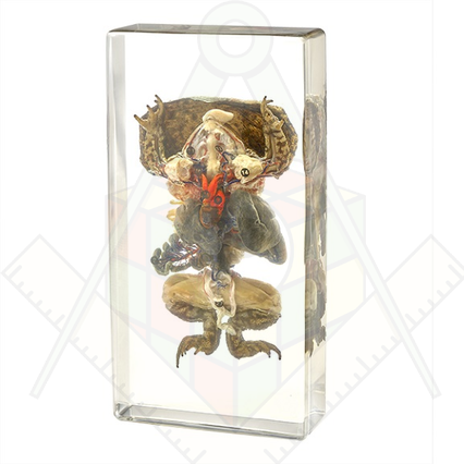 98285669_23 апреля 2024 г.