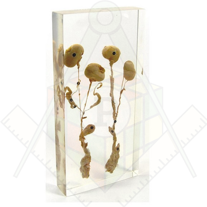 98285684_23 апреля 2024 г.