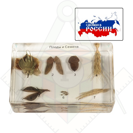 98285031_23 апреля 2024 г.