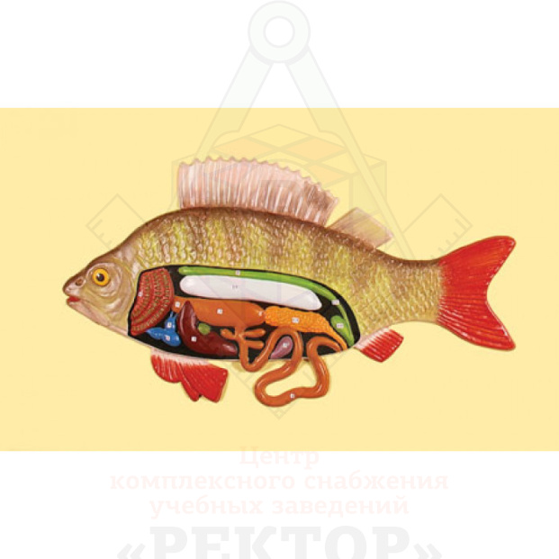 ge-catalog-modelibarelefnyeb-10571-700x700