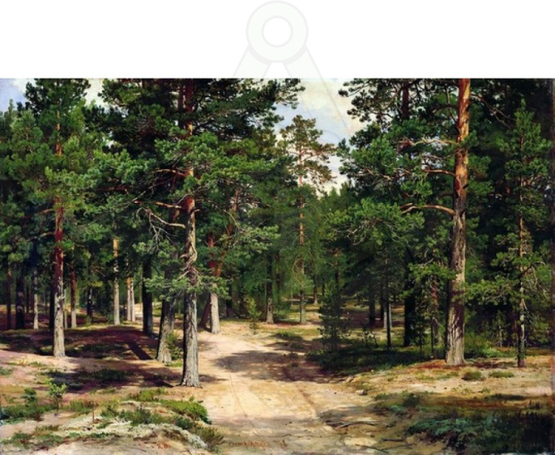Картинка