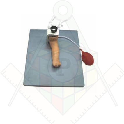 98285792_23 апреля 2024 г.