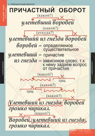 7класс