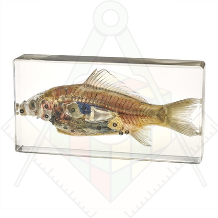 98285671_23 апреля 2024 г.