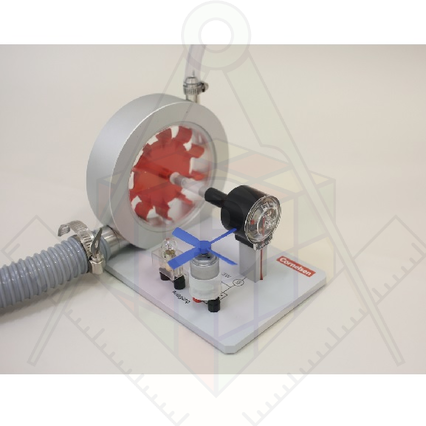 98285738_23 апреля 2024 г.