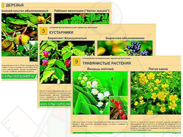 гербарий фотографический Ядовитые растения