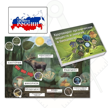 98285688_23 апреля 2024 г.