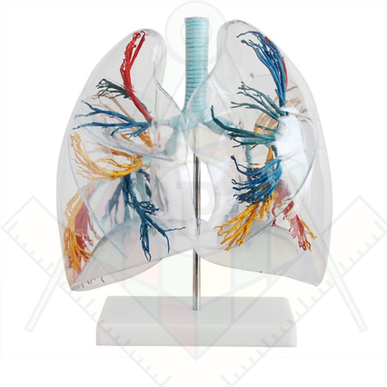 98285674_23 апреля 2024 г.