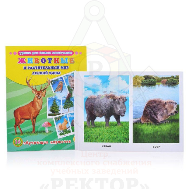 тематические животные