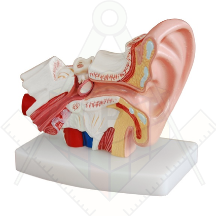 98285649_23 апреля 2024 г.