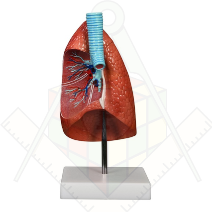 98285687_23 апреля 2024 г.