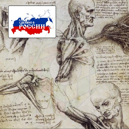 98285698_23 апреля 2024 г.