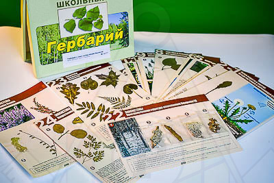 гербарий к курсу основ общей биологии эдустр