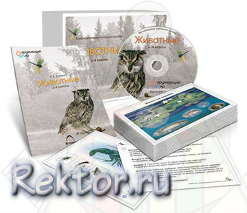 Картинка
