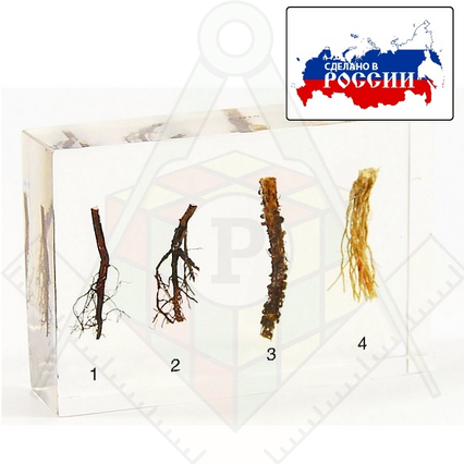 98285021_23 апреля 2024 г.