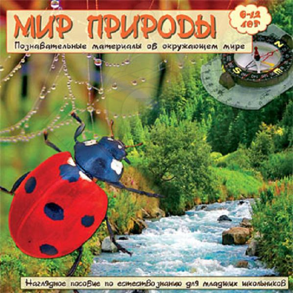 Картинка