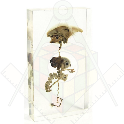 98285685_23 апреля 2024 г.