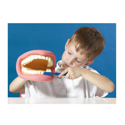 98285054_23 апреля 2024 г.