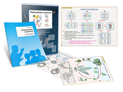 Картинка_2023-04-13_Комплект кодотранспарантов (прозрачных плёнок, фолий)«Размножение и развитие»