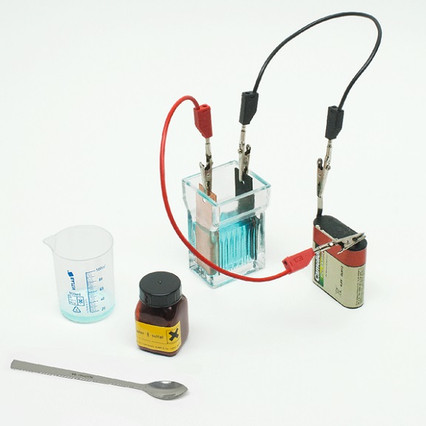 98285728_23 апреля 2024 г.